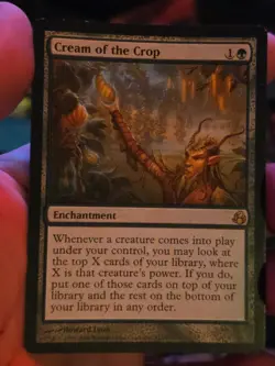 Cream of the Crop Mtg Morningtide - Image 1