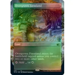 FOIL OVERGROWN FARMLAND (BORDERLESS) Innistrad: Midnight Hunt MID Magic MTG CARD - Image 1