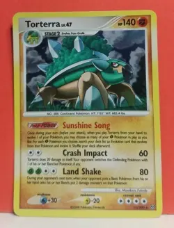 Torterra Lv. 47 11/100 Stormfront Holo Rare Pokemon Card Nintendo 2007 - Image 1