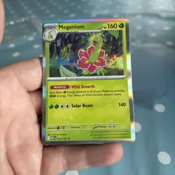 Pokemon Mega Evolution Meganium 010/132 Holo Sleeved + Toploaded - Image 1