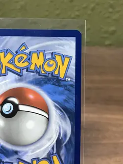 Minccino 182/162 Illustration Rare Temporal Forces Pokemon Holo - Image 3