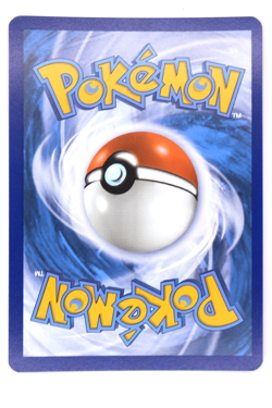 Pokemon TCG Phanpy 205/191 Surging Sparks Illustration Rare IR NM - Image 2