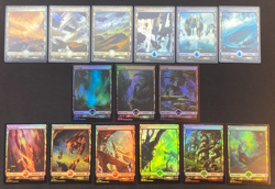 MTG - Zendikar Rising – Full Art Land Set (#266-280) – FOIL - NM - Image 1