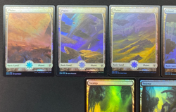 MTG - Zendikar Rising – Full Art Land Set (#266-280) – FOIL - NM - Image 2