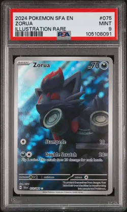Pokemon 2024 Shrouded Fable Zorua 075/064 Illustration Rare Holo PSA 9 - Image 1