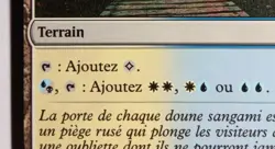 Mystic Gate French Mtg MISPRINT Hybrid cost Misprinted. "Porte mystique" - Image 3