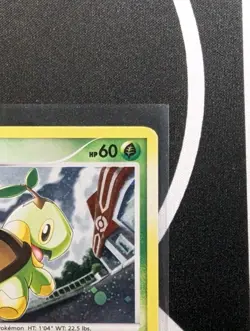 Turtwig 17 Pop Series 6 Promos Holo Common - Pokemon TCG - Image 3