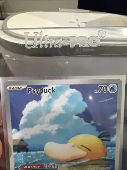 Pokemon TCG Psyduck 226/217 Illustration Rare Near Mint Ascended Heroes English - Image 4
