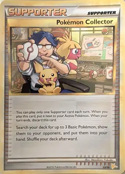 Pokemon Collector (#22) - HGSS Trainer Kit: Gyarados & Raichu (PR) LP - Image 1