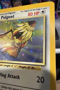 Pokemon TCG Pidgeot 8/64 Jungle Set Holo Rare Misprint Error No Symbol WOTC MP - Image 2