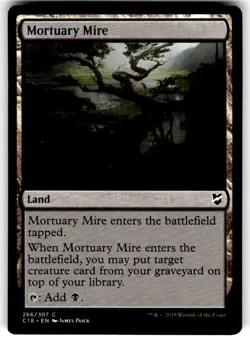 Magic: The Gathering Land MTG Mortuary Mire Common Regular - Image 1
