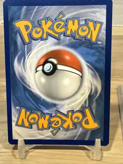 Pikachu SWSH039 Holo Promo Sword & Shield Promo Pokemon Near Mint - Image 5