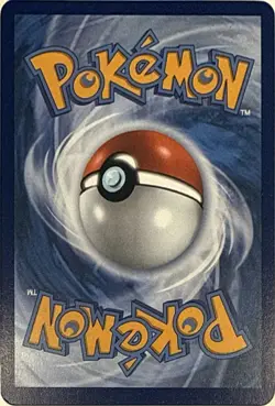 Riolu - 010 010 Holo P ME: Mega Evolution Promo Pokemon NM - Image 2