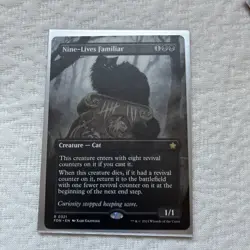 Nine-Lives Familiar (Borderless) Foundations Regular - Image 1
