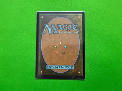 1x NM Foil Misty Rainforest Zendikar Rising Expedition MTG Magic the Gathering - Image 2