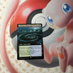 MTG Turbulent Wilderness (0107) Non-Foil Extended Art Secrets Of Strixhaven NM - Image 1