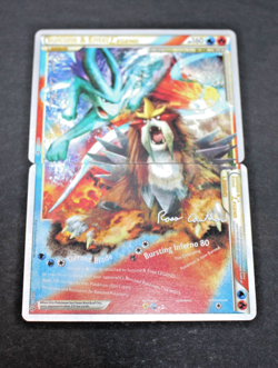 Pokemon Suicune& Entei Legend World Championship 2010(94/95-95/95) + Extra Cards - Image 1