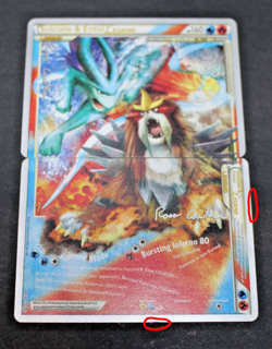 Pokemon Suicune& Entei Legend World Championship 2010(94/95-95/95) + Extra Cards - Image 2