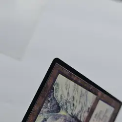 Magic: The Gathering Glacial Chasm Land Card Regular 1995 Liz Danforth - Image 4