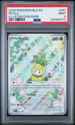 2025 POKEMON BLK EN-BLACK BOLT ILLUSTRATION RARE #091 PETILIL PSA 9 - Image 1