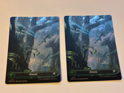 2X Forest (Borderless) (Galaxy Foil) 0371 (L) MTG Edge of Eternities (EOE) - Image 1
