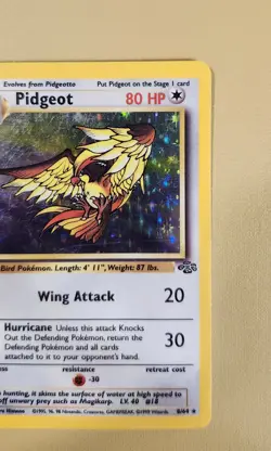 1999 Pokemon Jungle Pidgeot Holo - see video of Holo & Card - Image 4