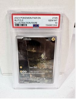 PSA 10 Blitzle 195/182 Paradox Rift Gem Mint Pokemon TCG - Image 1