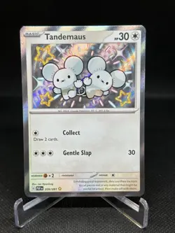 Pokemon SV: Paldean Fates Tandemaus 209/091 Shiny Rare NM - Image 1