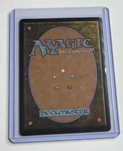 Fountainport #253 Bloomburrow Rare Land MTG NM/M - Image 2