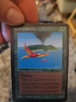 MAGIC THE GATHERING MTG RARE GREEN BIRDS OF PARADISE BETA - Image 2