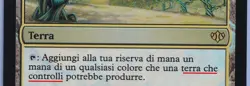 Exotic Orchard FOIL Italian Mtg MISPRINT. Same text as Reflecting pool - Image 2