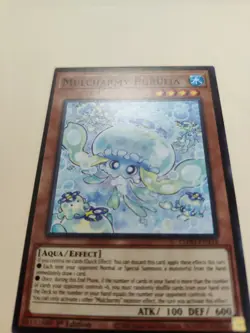 Mulcharmy Purulia L5DD-ENY18 Common 1st Edition LP - Image 2