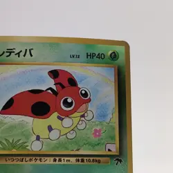 Pokemon Cards Ledyba Promo Holo Southern Island Old Back 1999 VG Japanese g748 - Image 3