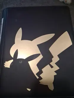 Pokemon Shining Fates Binder Card Lot With The Charizard - Image 1