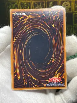 Yu-Gi-Oh Dark Magician Girl Ultra Rare YAP1-JP006 Promo Japanese - Image 3