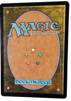 Dragonologist - Tarkir: Dragonstorm (TDM) - (FOIL) - EN - R 0042 - Image 2