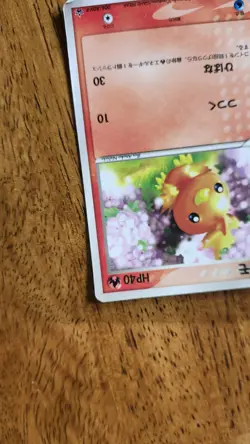 Torchic - 004/ADV-P 004/ADV-P ADV-P Promotional cards McDonald's (Japanese) - Image 4