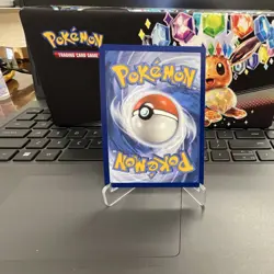 Pokemon Phanpy Illustration Rare Full Art Holo Surging Sparks 205/191 2024 - Image 3