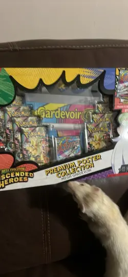 Pokemon Mega Evolution—Ascended Heroes Premium Poster Collection Gardevoir Box - Image 1
