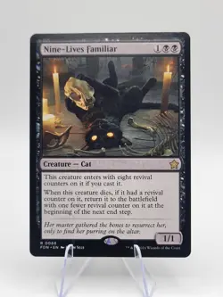 Nine-Lives Familiar Foundations Regular - Image 1