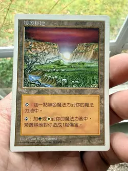 Brushland - MTG - 1x MP Traditional Chinese Fifth Edition 5ED - Image 1