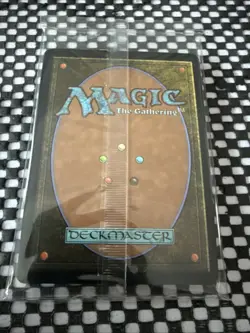 Final Fantasy MTG Paradise Chocobo Borderless Foil Promo & Foil Lands Pack - Image 2