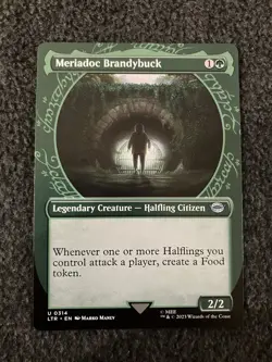 Magic The Gathering MTG - Meriadoc Brandybuck (Showcase) - UB LTR - Image 1