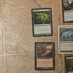 Magic: The Gathering ELD 15x Green Cards Syr Faren Lone Wolf English - Image 4