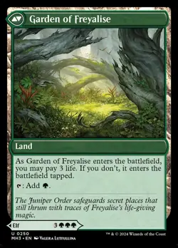 MTG - Disciple of Freyalise - Modern Horizons 3 - X1 - (NM) - - Image 2