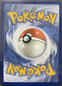 Ludicolo 095/094 Illustration Rare Phantasmal Flames Pokemon Card NM TCG - Image 2