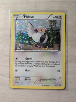 Pidove - 11/12 Promo Pokemon TCG McDonald's Promos 2011 011/012 MP - Image 1
