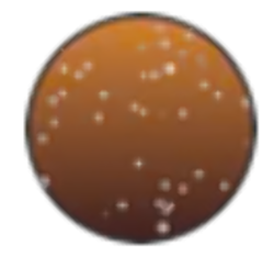 Grail Guard: Graded Card Slab Bumper Protector Case - BlendIT Range (Ace) - Image 2