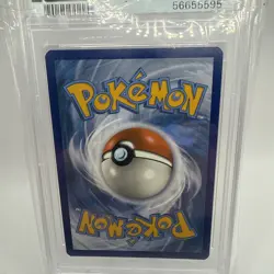 Charizard - (Prerelease) SWSH066 SWSH: Sword & Shield Promo Cards Holo - Image 5