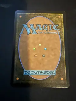 1x Escape to the Wilds, Secret Lair Drop 1916 (Cats) Magic the Gathering, Foil - Image 2